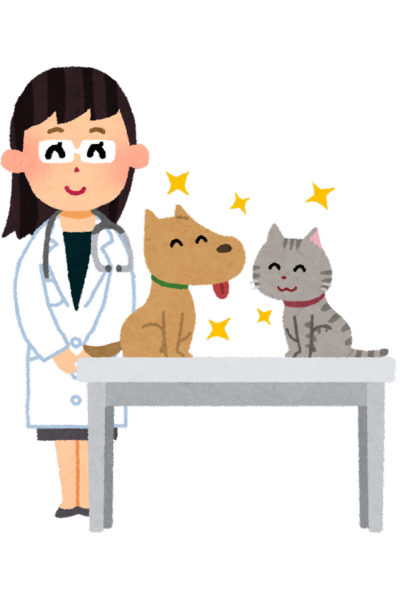 Ilustracja uśmiechnięta pani weterynarz-dietetyk stoi za szarym stołem, na którym siedzi szczęśliwy pies i kot.