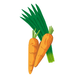 Ilustracja dwie marchewki i zielony szczypiorek