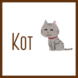 Przycisk do ułożenia planu żywieniowego dla kota