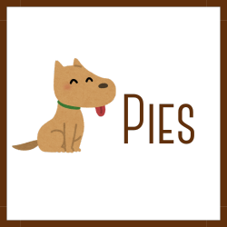 Przycisk do ułożenia planu żywieniowego dla psa