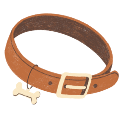 Ilustracja psia obroża w formie brązowego pasa z zawieszką kością.